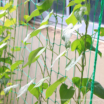 Wear Resistance Trellis Net Climbing Plants Supporting Net